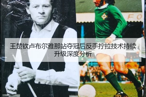 wang-chu-qin-lu-bu-er-ya-na-zhan-duo-guan-hou-fan-shou-ning-la-ji-shu-chi-xu-sheng-ji-shen-du-fen-xi-2-918.jpg